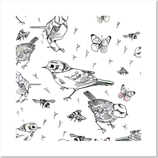 Garden birds Posters and Art